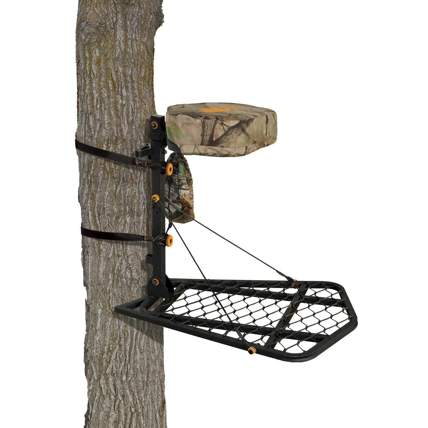 Dick's hang on Tree Stand